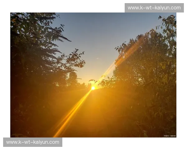 助攻：从微小善意到强大能量